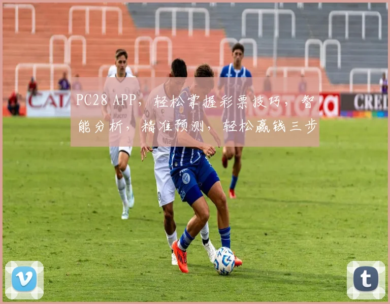 PC28 APP，轻松掌握彩票技巧，智能分析，精准预测，轻松赢钱三步走，必看攻略，不容错过