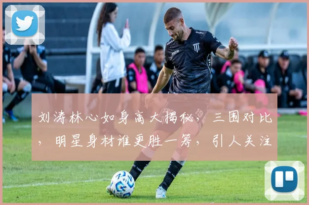 刘涛林心如身高大揭秘，三围对比，明星身材谁更胜一筹，引人关注
