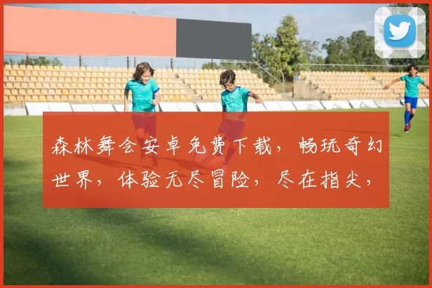 森林舞会安卓免费下载，畅玩奇幻世界，体验无尽冒险，尽在指尖，不容错过