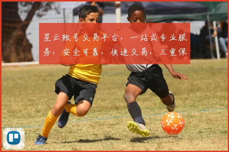 星云账号交易平台，一站式专业服务，安全可靠，快速交易，三重保障，值得信赖