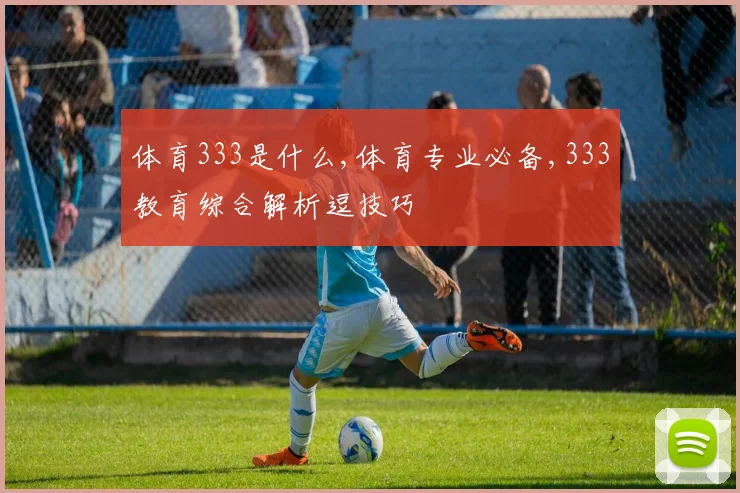 体育333是什么,体育专业必备,333教育综合解析逗技巧